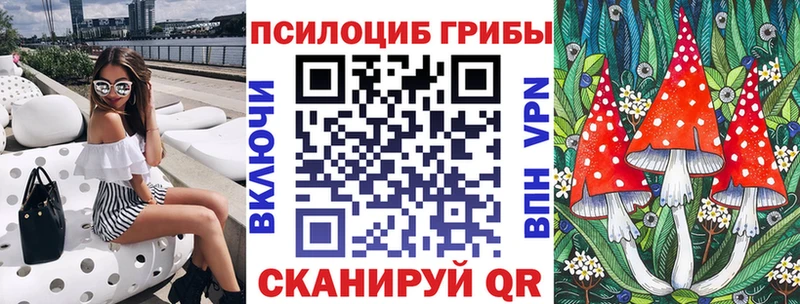 Купить закладки  Высоцк  Псилоцибиновые грибы Cubensis 
